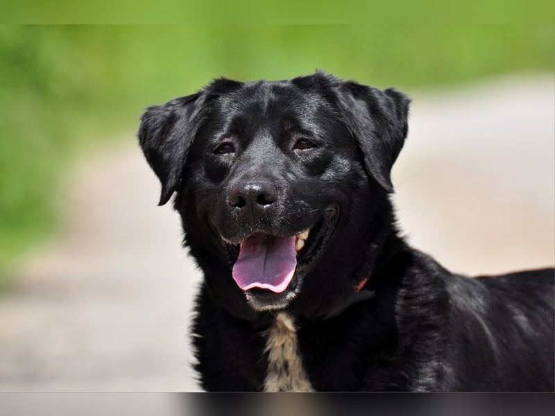 Dakota ist ausgeglichen und sanft