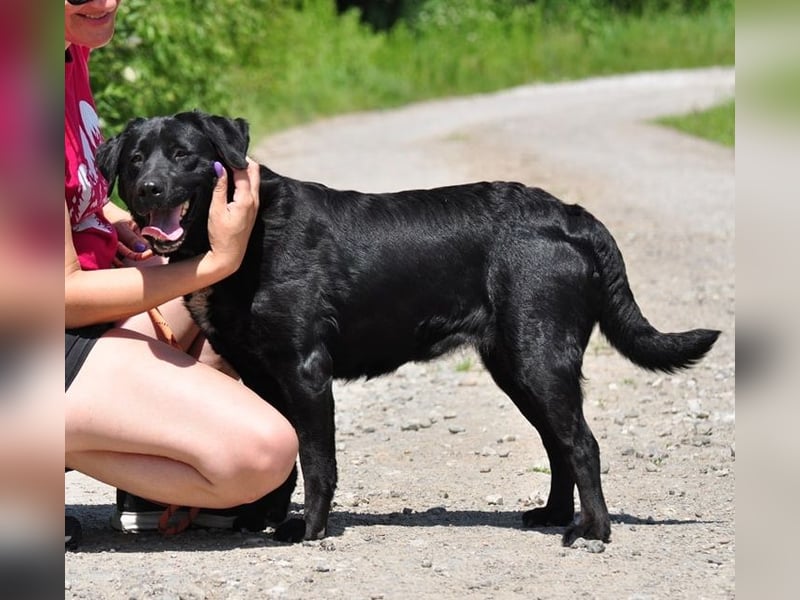 Dakota ist ausgeglichen und sanft
