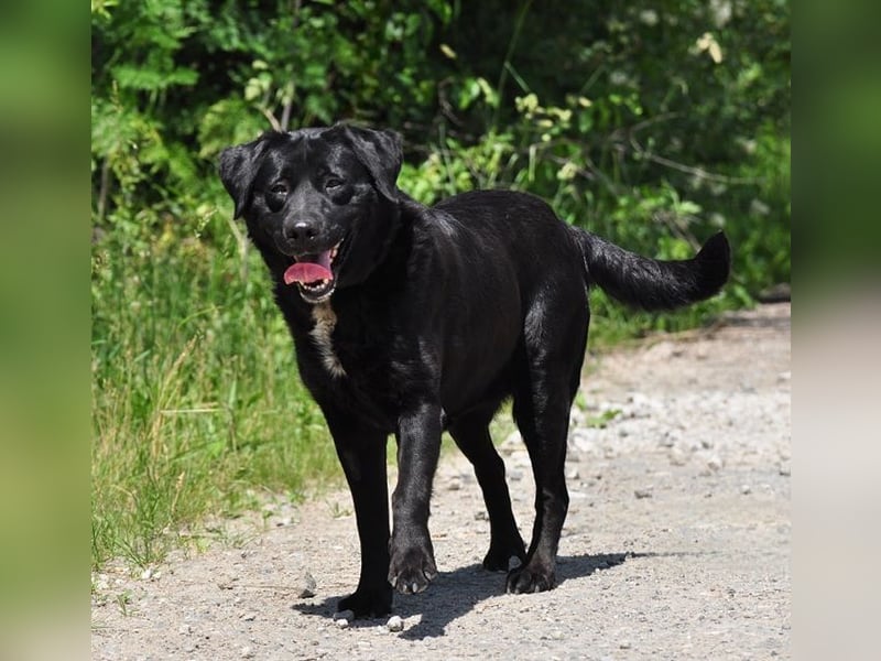Dakota ist ausgeglichen und sanft