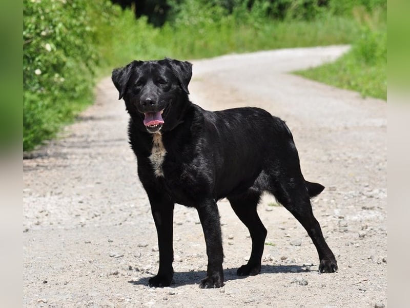 Dakota ist ausgeglichen und sanft