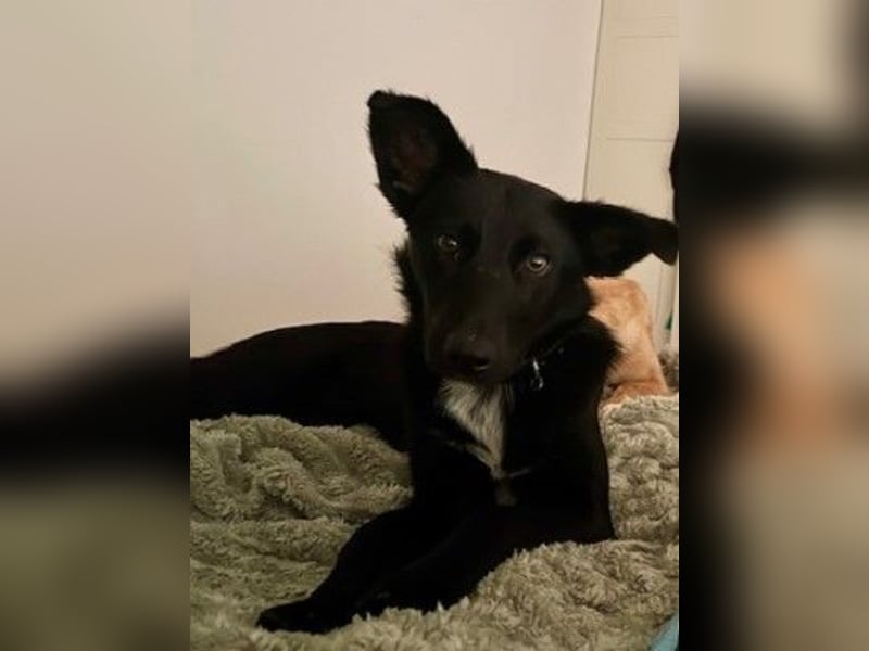 Enya sucht die menschliche Nähe