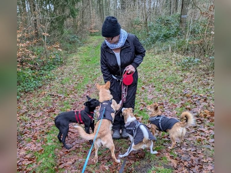 Enya sucht die menschliche Nähe