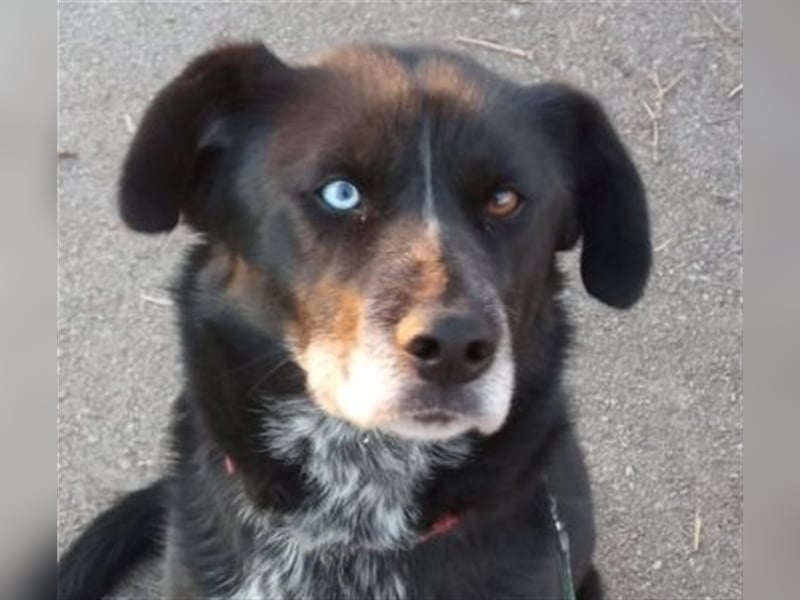 Stella ist sportlich und liebt Wasser