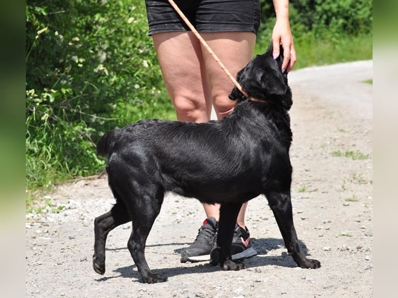 Dakota ist ausgeglichen und sanft