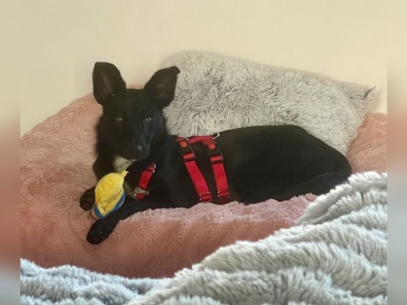 Enya sucht die menschliche Nähe