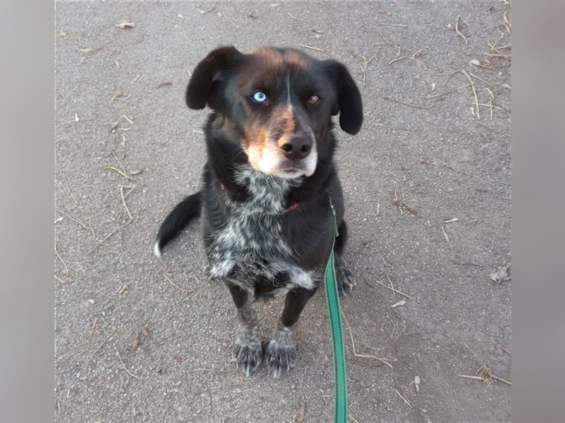 Stella ist sportlich und liebt Wasser