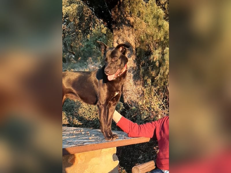 Aria ist ein Rohdiamant