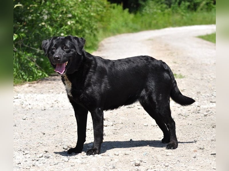 Dakota ist ausgeglichen und sanft