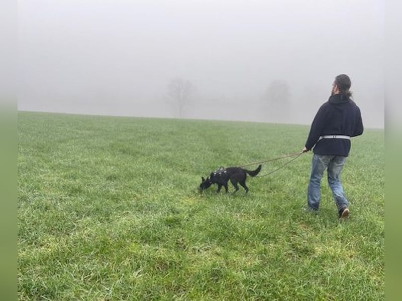 Enya sucht die menschliche Nähe