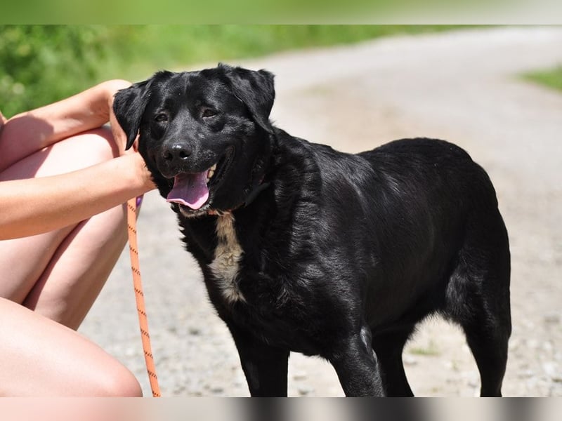 Dakota ist ausgeglichen und sanft