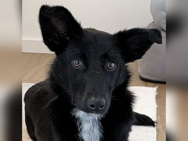 Enya sucht die menschliche Nähe