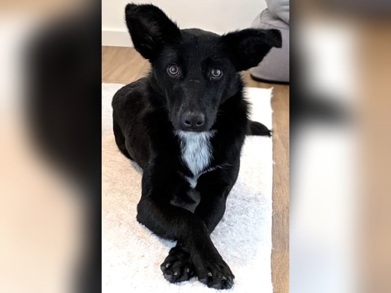Enya sucht die menschliche Nähe