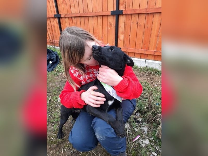 Gretka ist sehr menschenverliebt