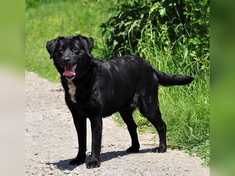 Dakota ist ausgeglichen und sanft