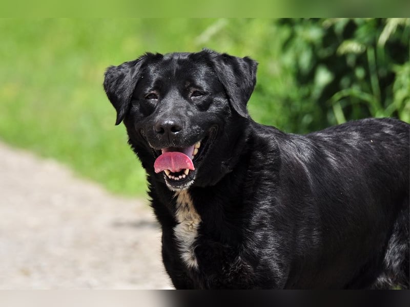 Dakota ist ausgeglichen und sanft