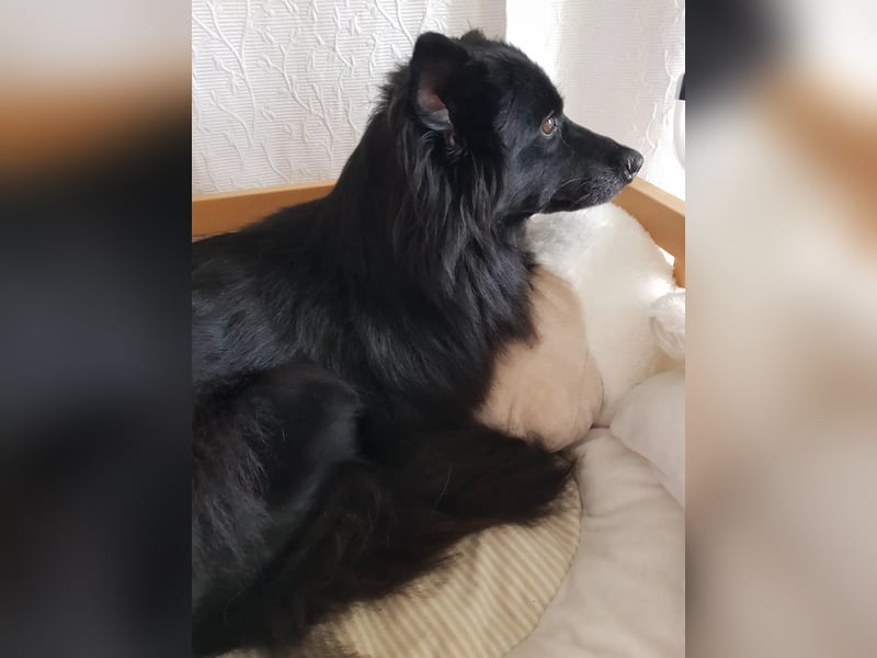 wunderschöne Zaira