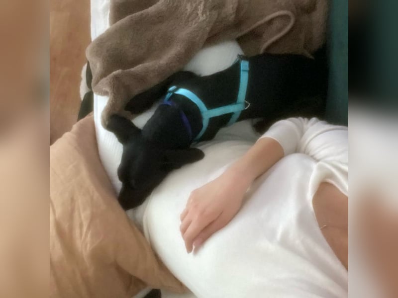 Vermittlungshilfe für Vesna ❤️