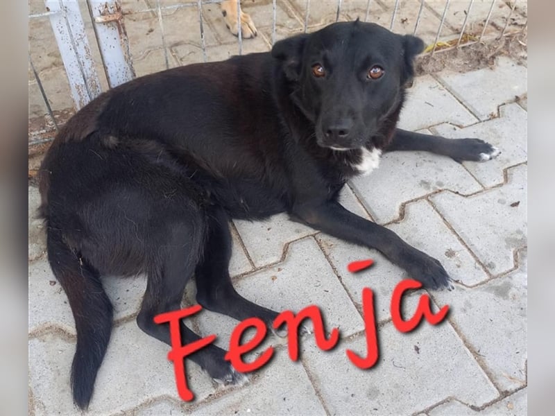 Unsere zauberhafte Fenja