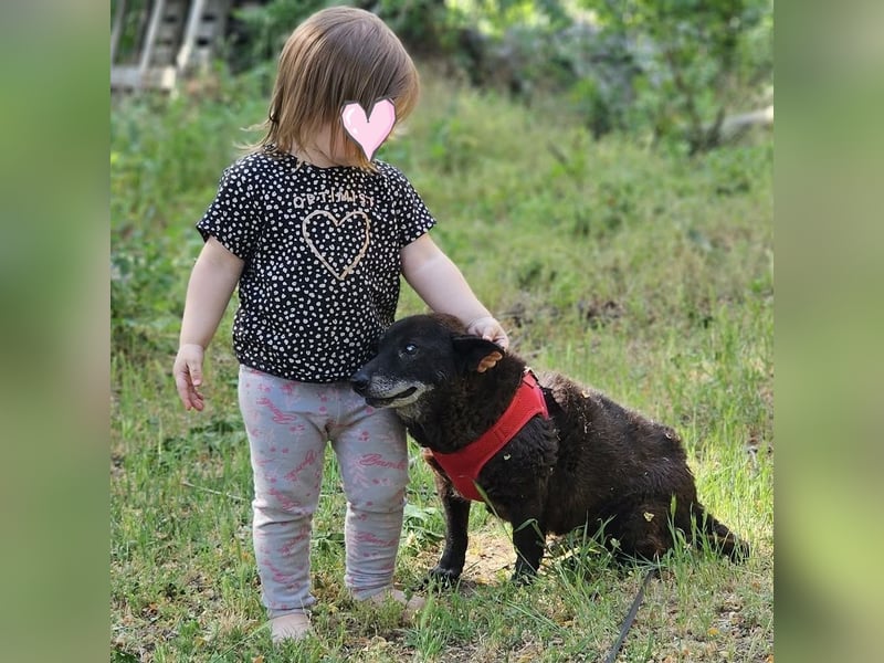 Gretchen ist freundlich und sanft
