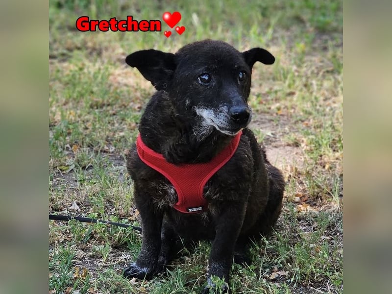 Gretchen ist freundlich und sanft