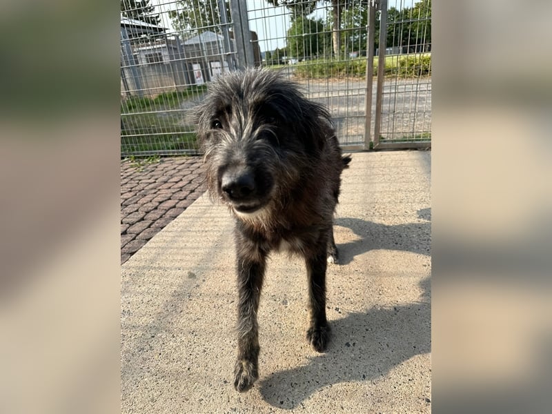 FADIA sucht ein liebevolles Zuhause