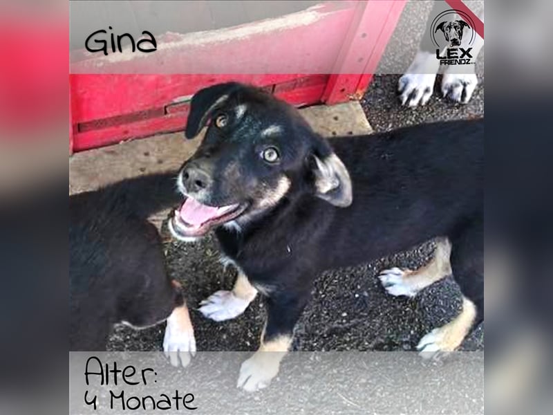 Gina - will noch viel lernen