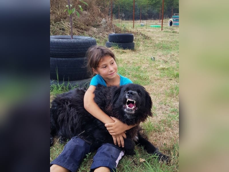 Amber sucht ein Zuhause