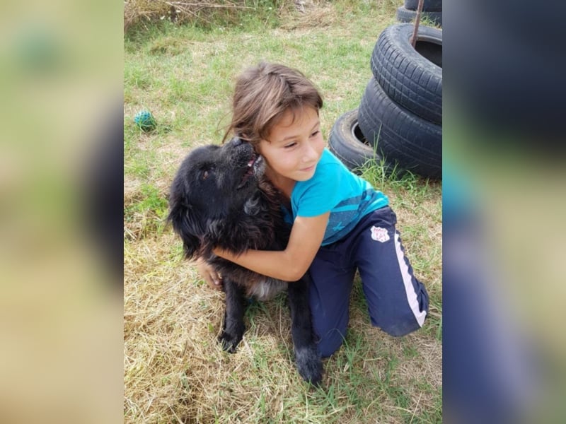 Amber sucht ein Zuhause