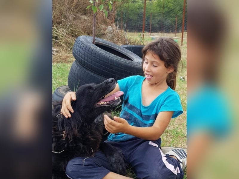 Amber sucht ein Zuhause