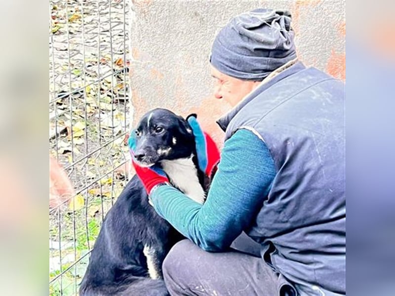 Ellie sucht ihre Herzensmenschen