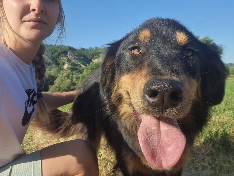 Kira – sozial, verschmust, wunderschön