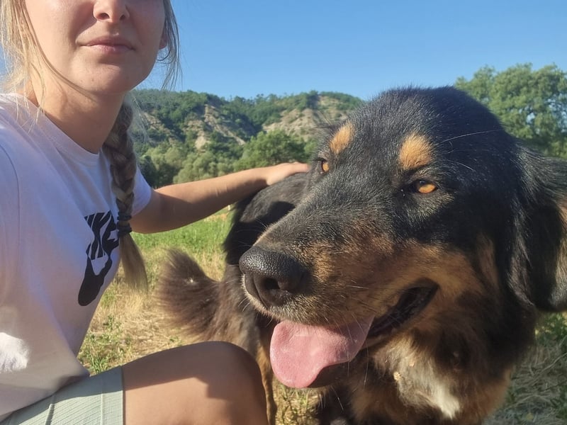 Kira – sozial, verschmust, wunderschön
