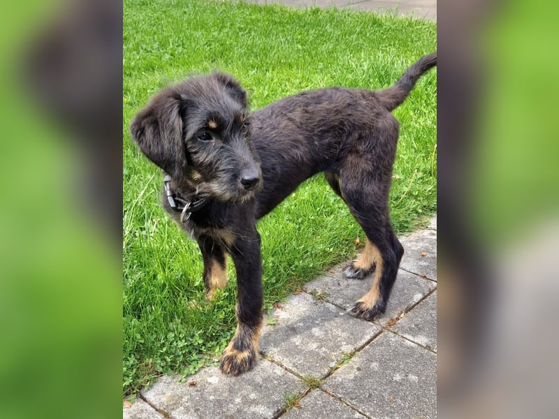 Zauberhafte Kiri in Essen/NRW