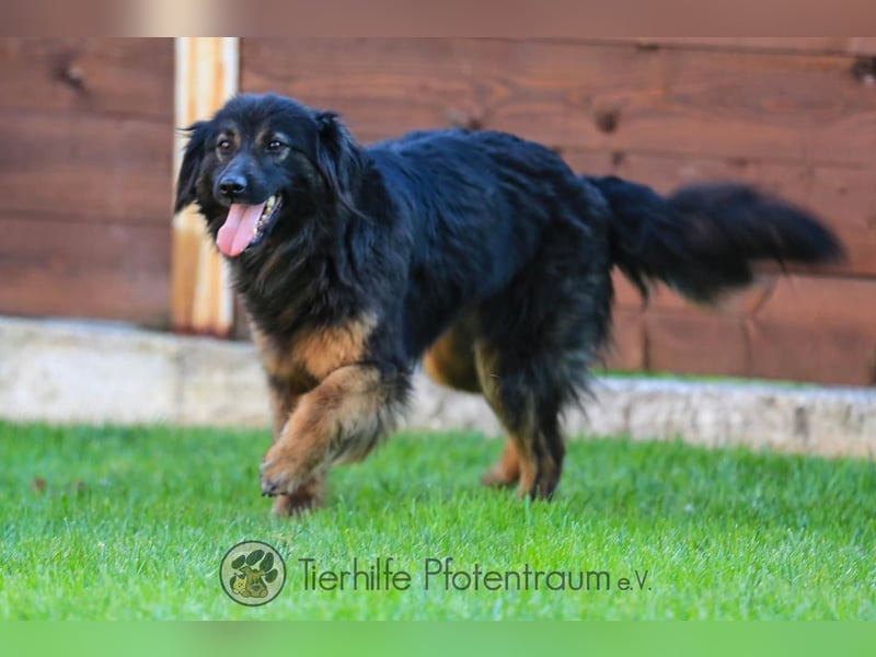 Arya sucht ein eigenes Zuhause