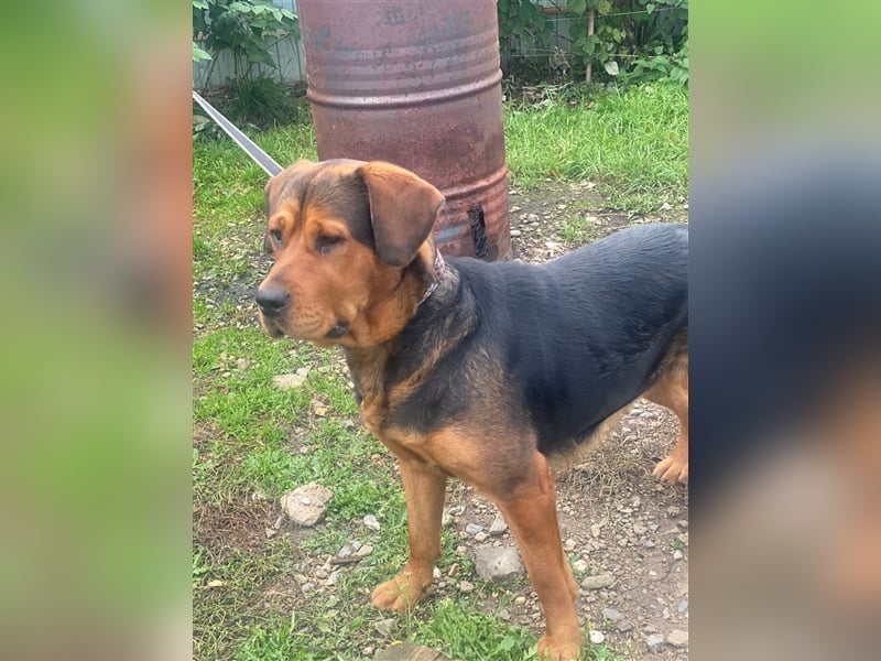 LEXA - sucht naturverbundene, aktive Menschen