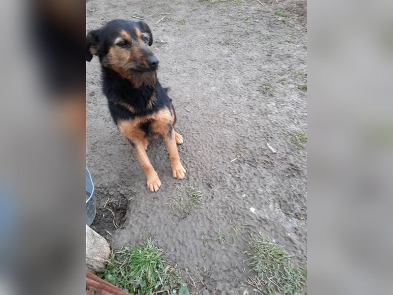 Cuki sucht ein Zuhause