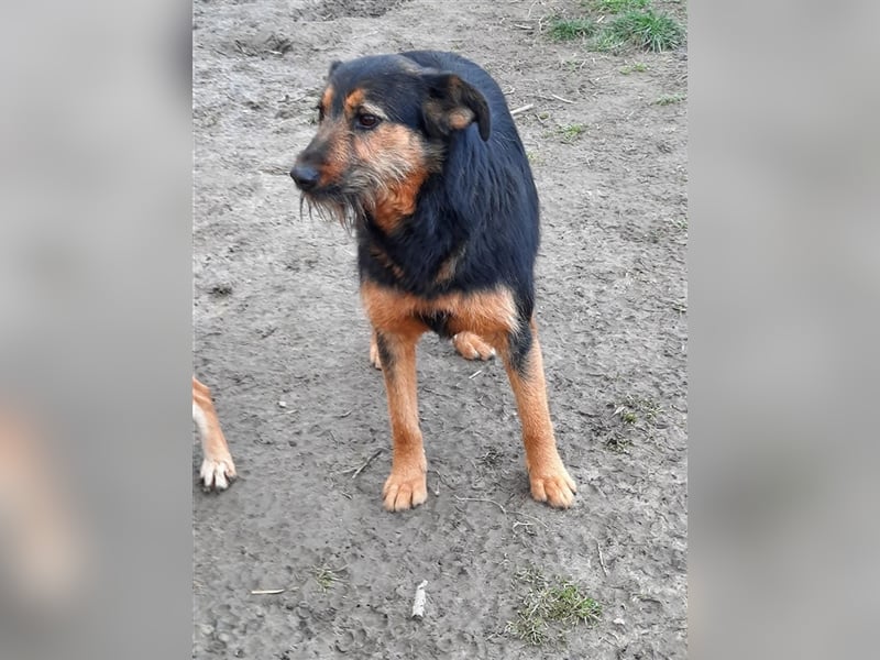 Cuki sucht ein Zuhause