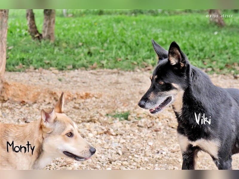 Schöne Viki  wünscht sich endlich ihre eigene Familie !