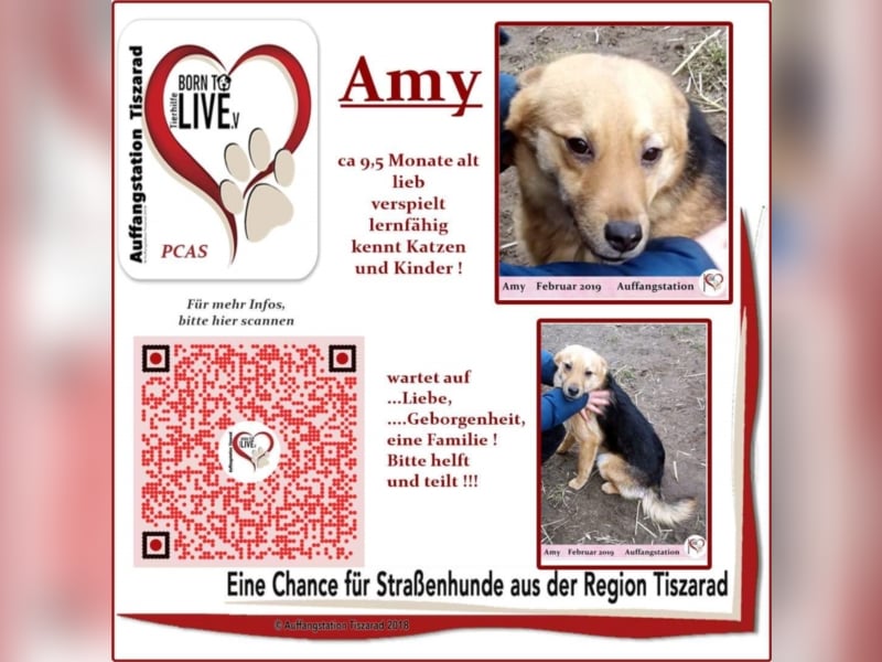 Amy