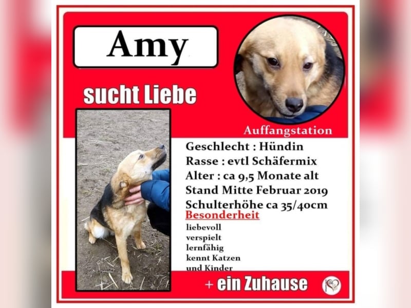 Amy