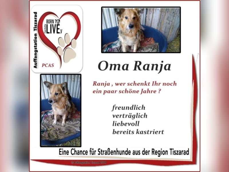 Ranja