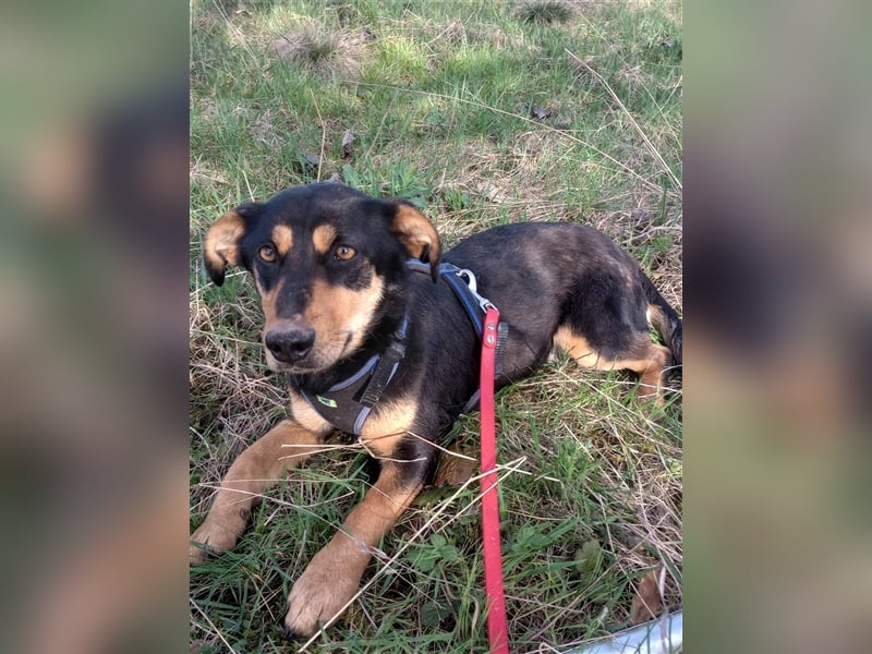 BLACKY - hofft auf tolle Menschen