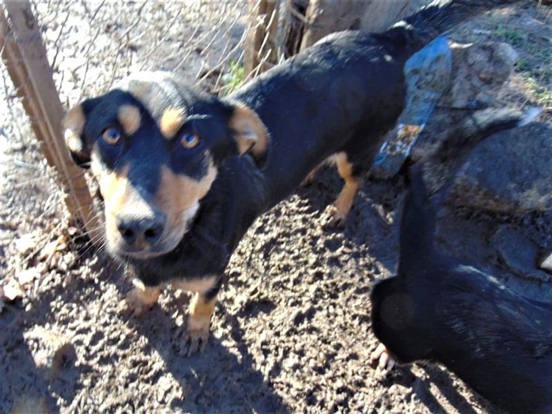BLACKY - hofft auf tolle Menschen