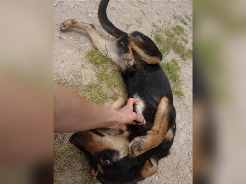 BLACKY - hofft auf tolle Menschen