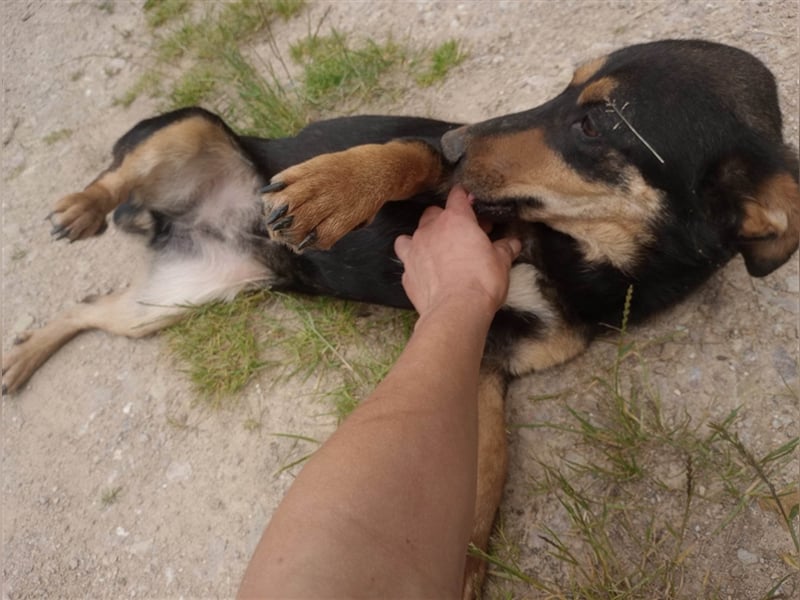 BLACKY - hofft auf tolle Menschen