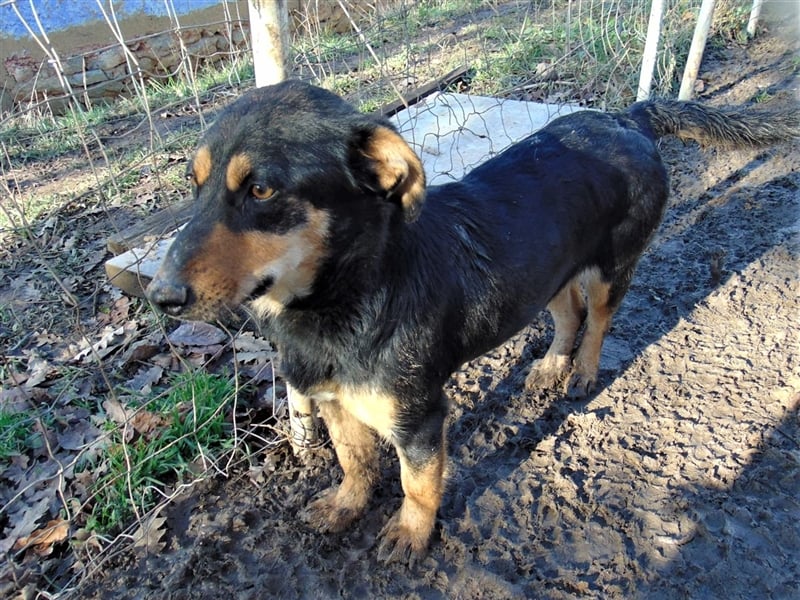 BLACKY - hofft auf tolle Menschen