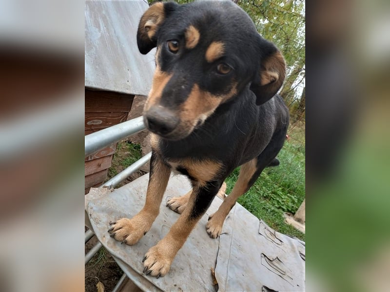 BLACKY - hofft auf tolle Menschen