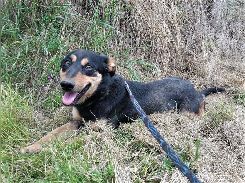 BLACKY - hofft auf tolle Menschen