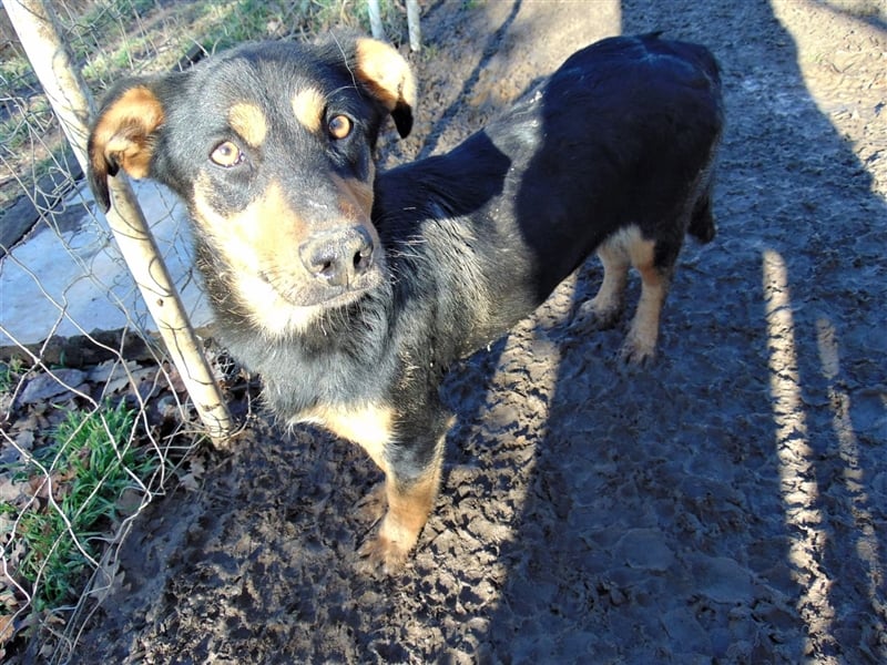 BLACKY - hofft auf tolle Menschen