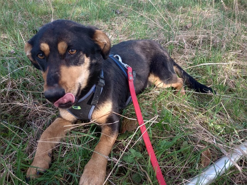BLACKY - hofft auf tolle Menschen